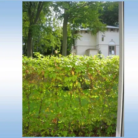 דירה Ferienwohnung _am Buchenpark_ *
